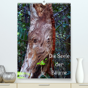 Die Seele der Bäume (Premium, hochwertiger DIN A2 Wandkalender 2023, Kunstdruck in Hochglanz) von Struve,  Andreas