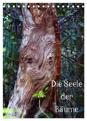 Die Seele der Bäume (Tischkalender 2024 DIN A5 hoch), CALVENDO Monatskalender von Struve,  Andreas