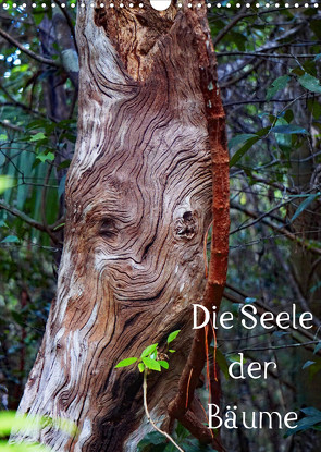 Die Seele der Bäume (Wandkalender 2023 DIN A3 hoch) von Struve,  Andreas
