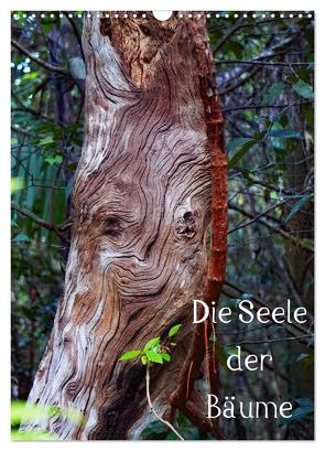 Die Seele der Bäume (Wandkalender 2024 DIN A3 hoch), CALVENDO Monatskalender von Struve,  Andreas