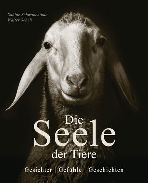 Die Seele der Tiere von Remy-Schwabenthan,  Sabine, Schels,  Walter