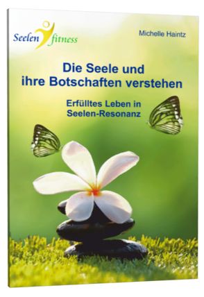 Die Seele und ihre Botschaften verstehen von Haintz,  Dr. Michelle