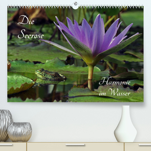 Die Seerose – Harmonie im Wasser (Premium, hochwertiger DIN A2 Wandkalender 2023, Kunstdruck in Hochglanz) von fischer,  siegfried