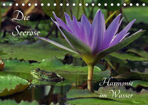 Die Seerose – Harmonie im Wasser (Tischkalender 2023 DIN A5 quer) von fischer,  siegfried
