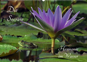 Die Seerose – Harmonie im Wasser (Wandkalender 2023 DIN A2 quer) von fischer,  siegfried