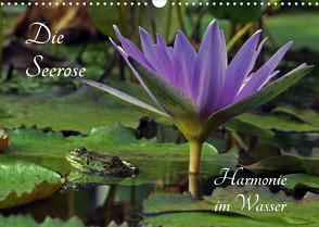 Die Seerose – Harmonie im Wasser (Wandkalender 2023 DIN A3 quer) von fischer,  siegfried