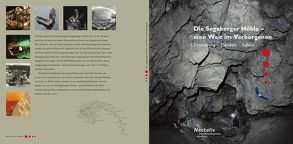 Die Segeberger Höhle von Baldauf,  Sebastian, Gloza-Rausch,  Florian, Ipsen,  Anne, Mucke,  Dieter