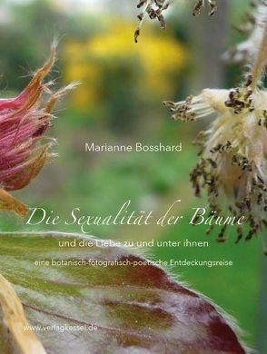 Die Sexualität der Bäume und die Liebe zu und unter ihnen von Bosshard,  Marianne