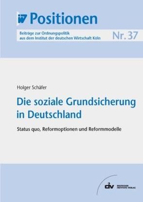 Die soziale Grundsicherung in Deutschland von Schaefer,  Holger