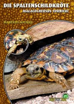 Die Spaltenschildkröte von Rogner,  Manfred