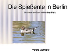 Die Spießente in Berlin von Mahrhofer,  Verena