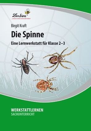 Die Spinne von Kraft,  Birgit