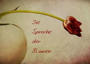 Die Sprache der Blumen (Posterbuch DIN A4 quer) von Möckel / Lucy L!u,  Claudia