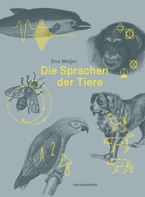Die Sprachen der Tiere von Altmann,  Pauline, Meijer,  Eva, Schalansky,  Judith, Welzbacher,  Christian