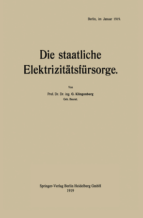 Die staatliche Elektrizitätsfürsorge von Klingenberg,  Georg