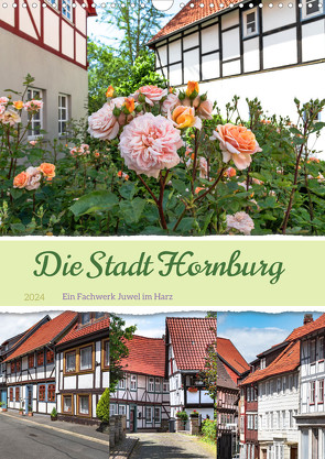 Die Stadt Hornburg (Wandkalender 2024 DIN A3 hoch) von Gierok-Latniak,  Steffen