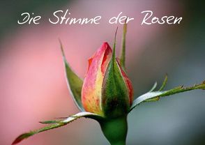 Die Stimme der Rosen (Posterbuch DIN A3 quer) von Witkowski,  Bernd