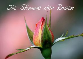 Die Stimme der Rosen (Posterbuch DIN A4 quer) von Witkowski,  Bernd