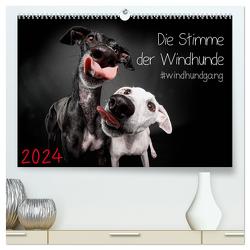 Die Stimme der Windhunde (hochwertiger Premium Wandkalender 2024 DIN A2 quer), Kunstdruck in Hochglanz von Gier,  Marcus