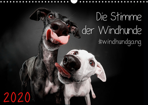 Die Stimme der Windhunde (Wandkalender 2020 DIN A3 quer) von Gier,  Marcus