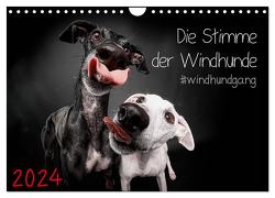 Die Stimme der Windhunde (Wandkalender 2024 DIN A4 quer), CALVENDO Monatskalender von Gier,  Marcus