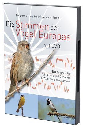 Die Stimmen der Vögel Europas auf DVD von Baumann,  Sabine, Bergmann,  Hans-Heiner, Engländer,  Wiltraud, Helb,  Hans-Wolfgang