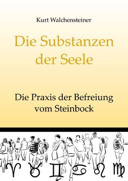 Die Substanzen der Seele von Walchensteiner,  Kurt