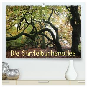 Die Süntelbuchenallee (hochwertiger Premium Wandkalender 2024 DIN A2 quer), Kunstdruck in Hochglanz von Loewa,  Bernhard