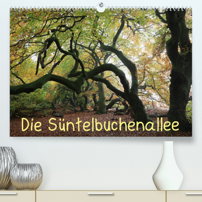 Die Süntelbuchenallee (Premium, hochwertiger DIN A2 Wandkalender 2023, Kunstdruck in Hochglanz) von Loewa,  Bernhard