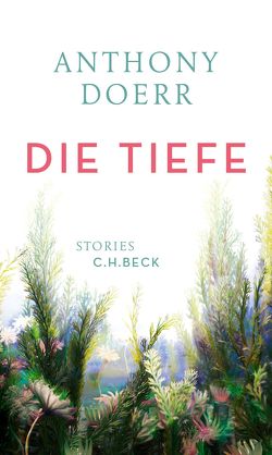 Die Tiefe von Doerr,  Anthony, Löcher-Lawrence,  Werner