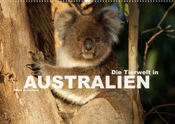 Die Tierwelt in Australien (Wandkalender 2023 DIN A2 quer) von Schickert,  Peter