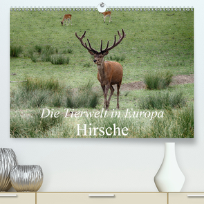 Die Tierwelt in Europa – Hirsche (Premium, hochwertiger DIN A2 Wandkalender 2021, Kunstdruck in Hochglanz) von Kretschmann,  Klaudia