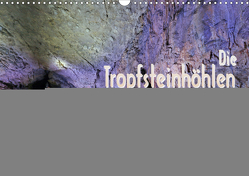 Die Tropfsteinhöhlen von Han-sur-Lesse (Wandkalender 2021 DIN A3 quer) von Haafke,  Udo