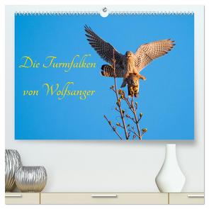 Die Turmfalken von Wolfsanger (hochwertiger Premium Wandkalender 2024 DIN A2 quer), Kunstdruck in Hochglanz von Martin (GDT),  Wilfried