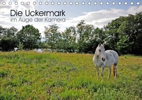 Die Uckermark im Auge der Kamera (Tischkalender 2018 DIN A5 quer) von Roletschek,  Ralf
