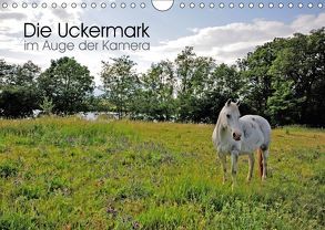 Die Uckermark im Auge der Kamera (Wandkalender 2018 DIN A4 quer) von Roletschek,  Ralf