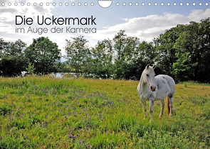 Die Uckermark im Auge der Kamera (Wandkalender 2023 DIN A4 quer) von Roletschek,  Ralf