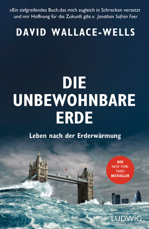 Die unbewohnbare Erde von Schmalen,  Elisabeth, Wallace-Wells,  David