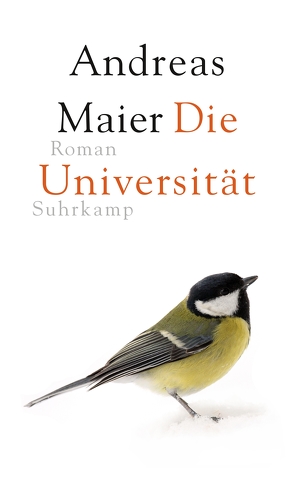 Die Universität von Maier,  Andreas