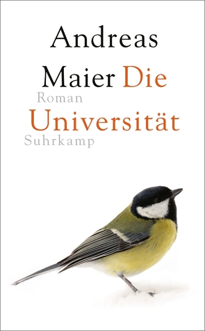 Die Universität von Maier,  Andreas