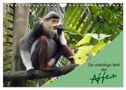 Die vielfältige Welt der Affen (Wandkalender 2024 DIN A4 quer), CALVENDO Monatskalender von Williger,  Christina