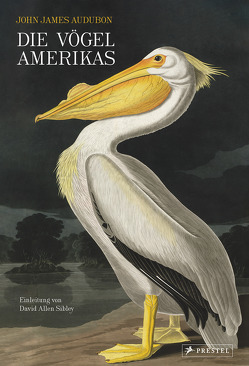 Die Vögel Amerikas von Audubon,  John James, Sibley,  David Allen