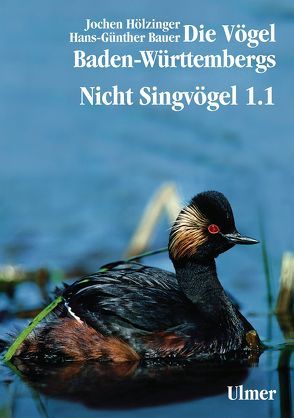 Die Vögel Baden-Württembergs Band 2.0 – Nicht-Singvögel1.1, Nandus bis Flamingos von Bauer,  Hans-Günther, Hölzinger,  Jochen