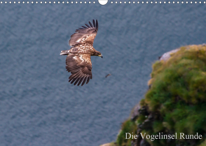 Die Vogelinsel Runde (Wandkalender 2021 DIN A3 quer) von H. Gulbins,  Dr.