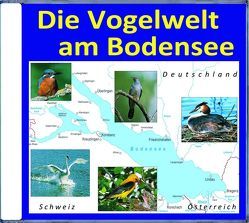 Die Vogelwelt am Bodensee von Dingler,  Karl-Heinz