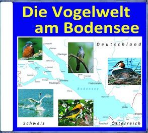 Die Vogelwelt am Bodensee von Dingler,  Karl-Heinz