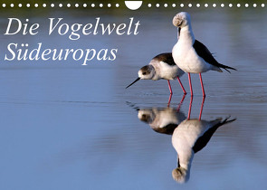 Die Vogelwelt Südeuropas (Wandkalender 2023 DIN A4 quer) von Trapp,  Benny