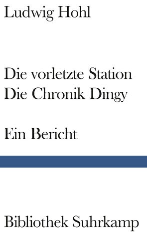 Die vorletzte Station / Die Chronik Dingy von Draesner,  Ulrike, Hohl,  Ludwig, Wieland,  Magnus