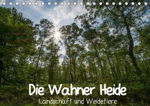 Die Wahner Heide – Landschaft und Weidetiere (Tischkalender 2019 DIN A5 quer) von Peeh,  Doro