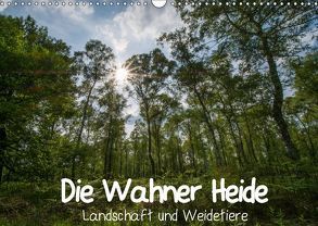 Die Wahner Heide – Landschaft und Weidetiere (Wandkalender 2019 DIN A3 quer) von Peeh,  Doro